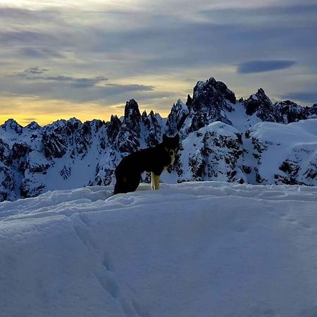 Appartamento Daniela Dolomiti. Auronzo di Cadore Kültér fotó