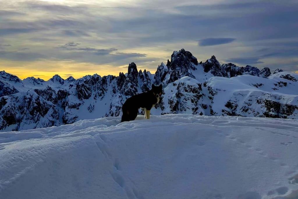 Appartamento Daniela Dolomiti. Auronzo di Cadore Kültér fotó